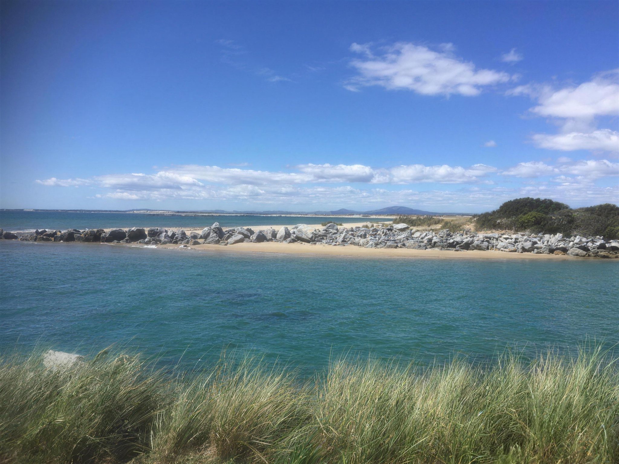 Coastal walking track along Bridport beach